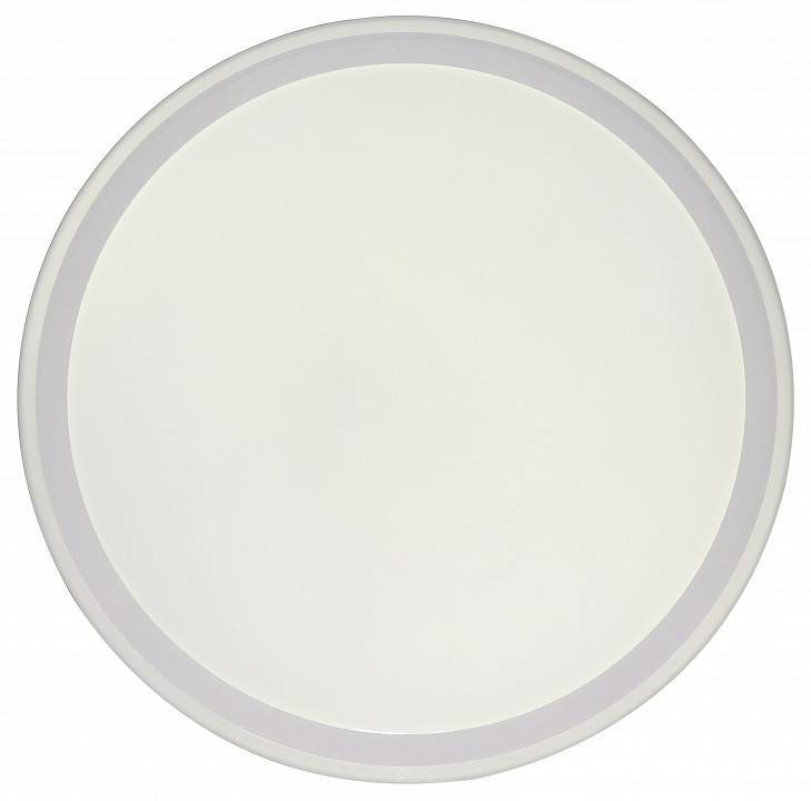 Накладной светильник Zortes BELLA ZRS.1200.09