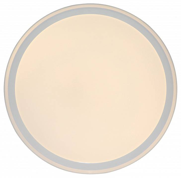 Накладной светильник Zortes BELLA ZRS.1200.09