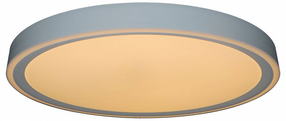 Накладной светильник Zortes BELLA ZRS.1200.09