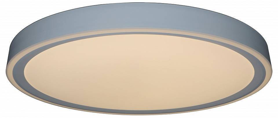 Накладной светильник Zortes BELLA ZRS.1200.09