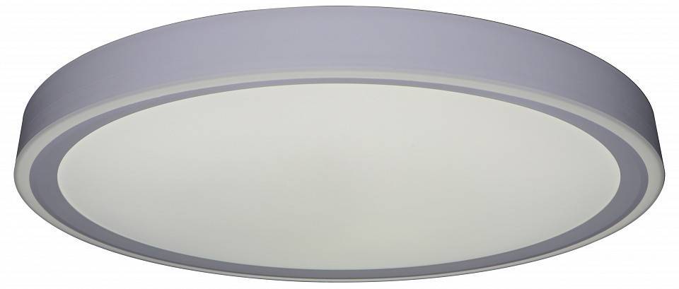 Накладной светильник Zortes BELLA ZRS.1200.09