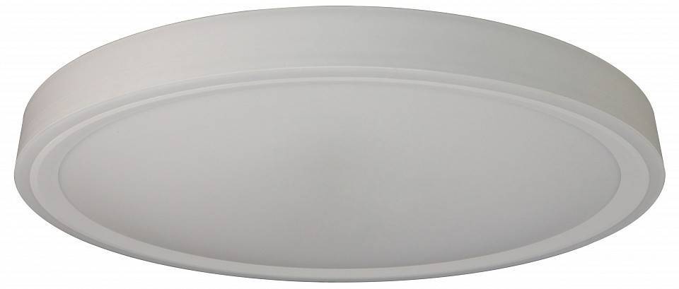 Накладной светильник Zortes BELLA ZRS.1200.09