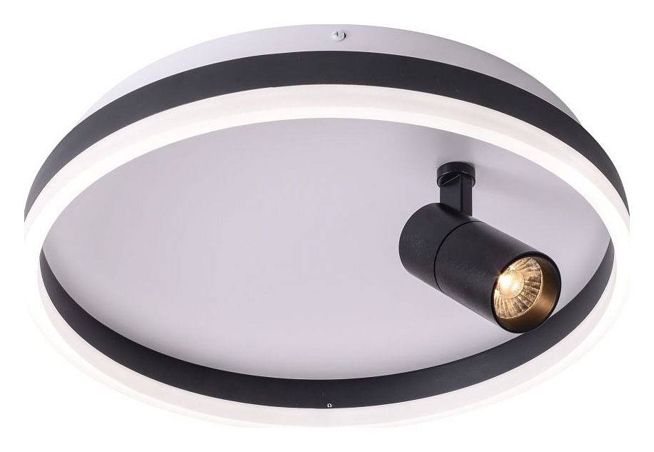 Накладной светильник Zortes Raizy ZRS.1888.03