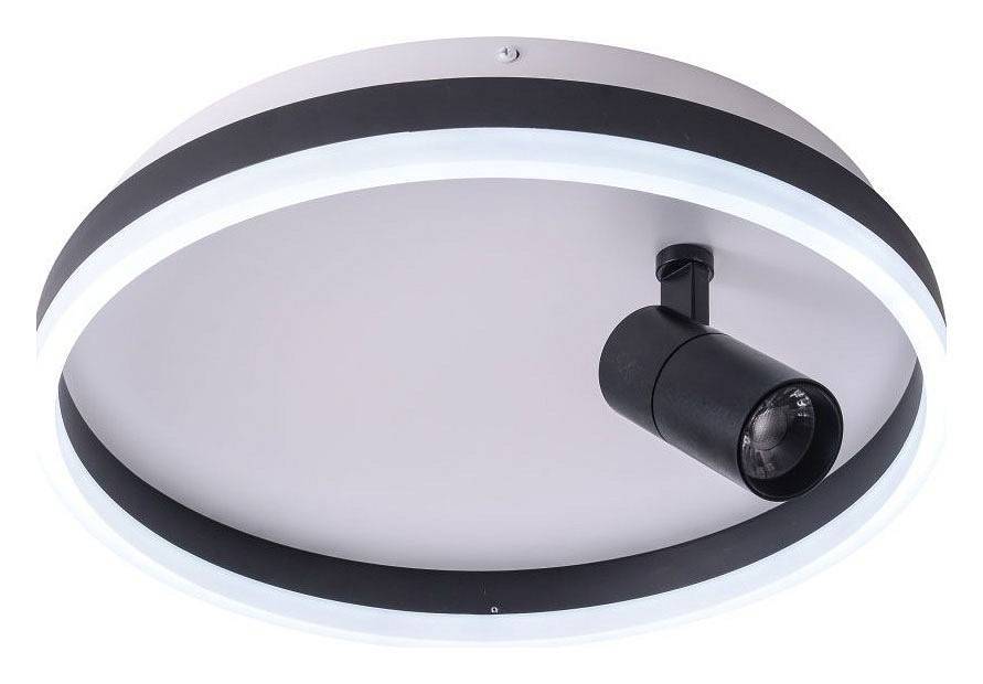 Накладной светильник Zortes Raizy ZRS.1888.03