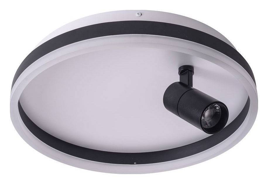 Накладной светильник Zortes Raizy ZRS.1888.03