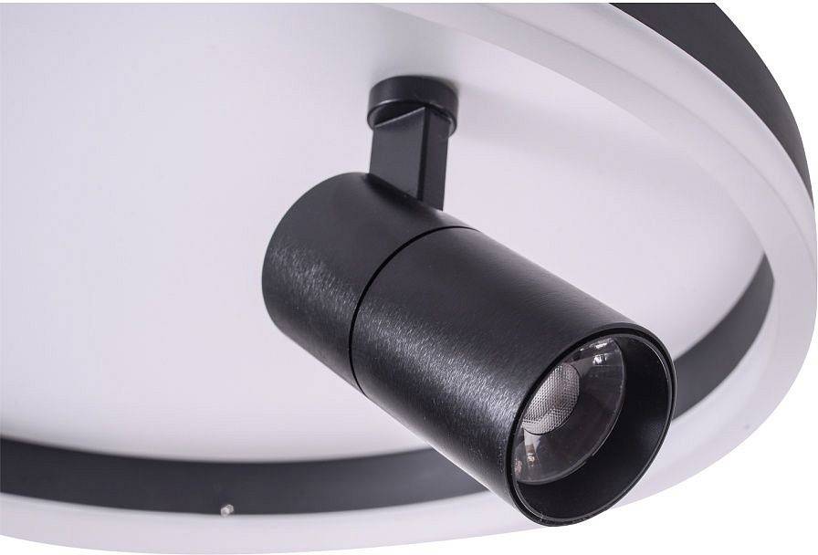 Накладной светильник Zortes Raizy ZRS.1888.03