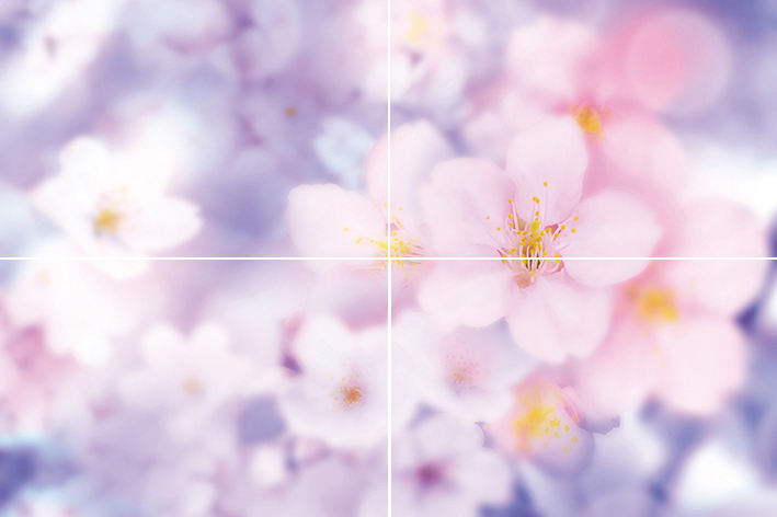 Панно из 4-х плиток Муза-Керамика Wonder 60х40 см P4D266