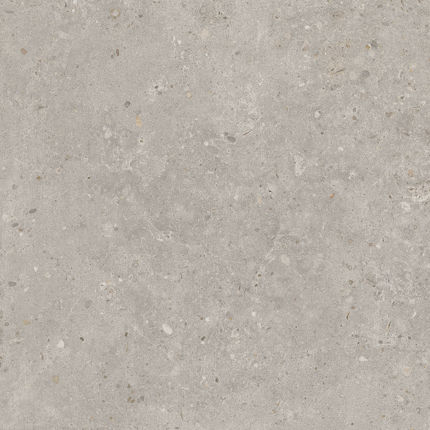 Керамогранит Kerama Marazzi Риккарди серый светлый матовый обрезной 60x60 см SG653720R