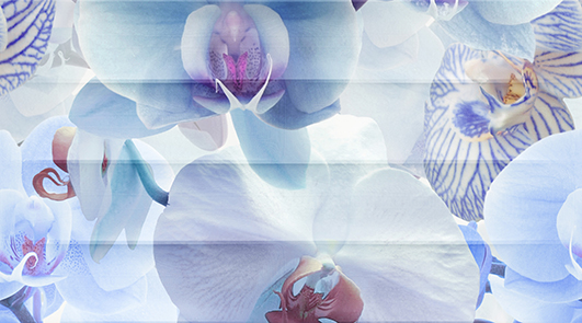 Декор Ceradim Vanda Panno C 25x45 см КПН16VandaC