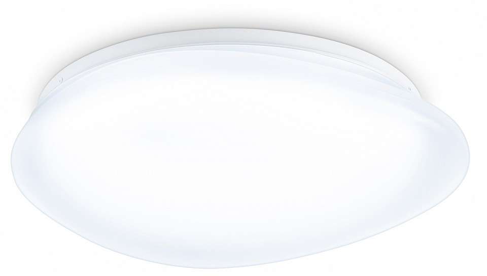 Накладной светильник Ambrella Light ORBITAL FZ1601