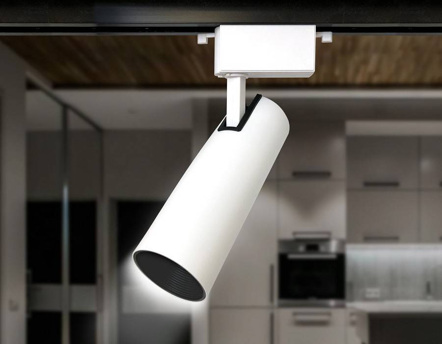 Светильник на штанге Ambrella Light GL GL5852