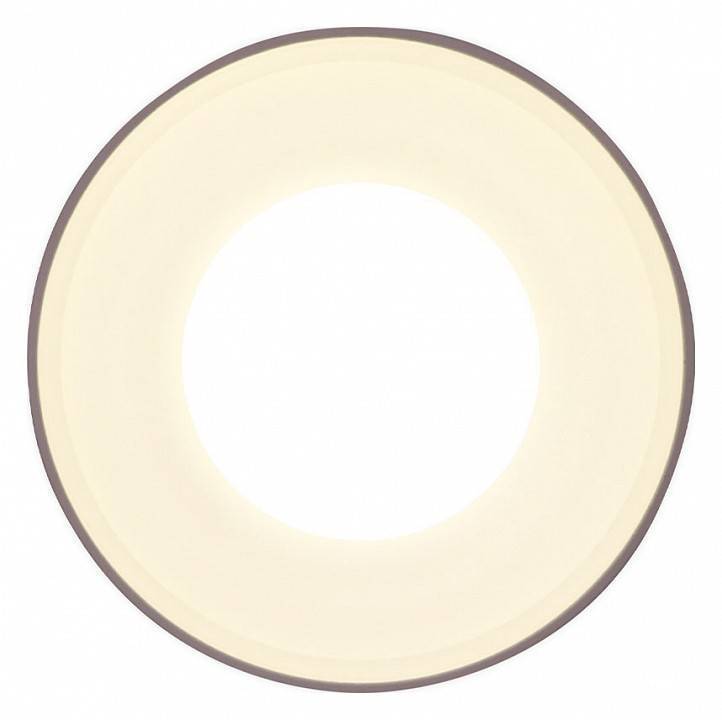 Накладной светильник Ambrella Light TN TN3202