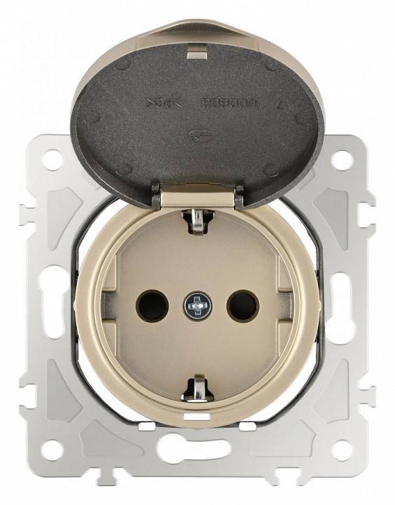 Розетка влагозащищенная с заземлением и со шторкой с крышкой Arte Milano am-202 202.41-1.shampan