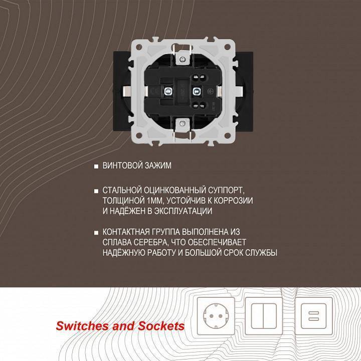 Розетка двойная с заземлением, без рамки Arte Milano am-206 206.40-2.black