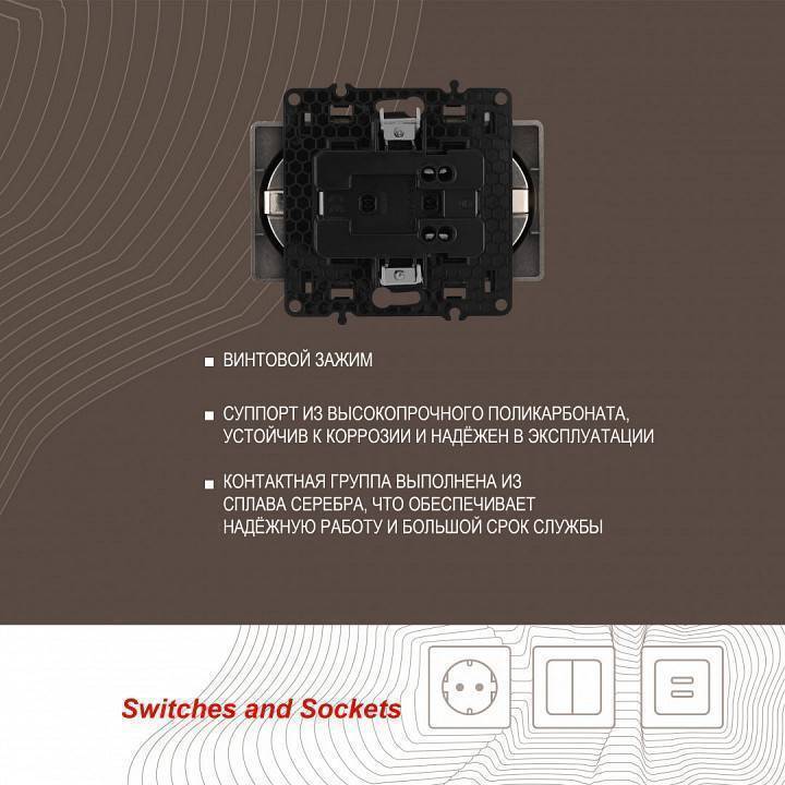 Розетка двойная с заземлением без рамки Arte Milano am-217 шампань 217.40-2.shampan