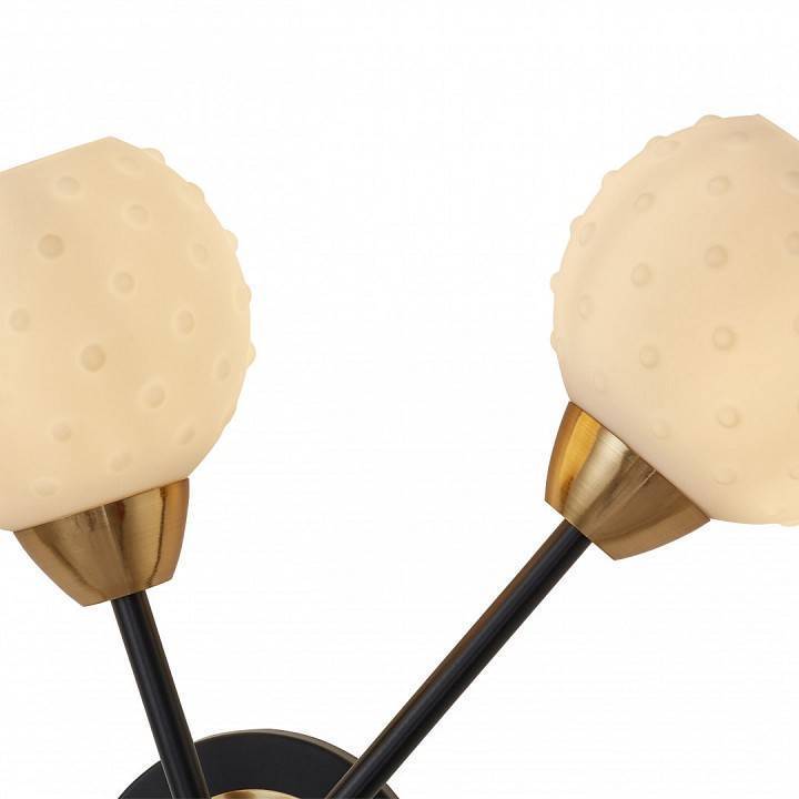 Бра Arte Milano Ferrara 279169/2B BK/GD