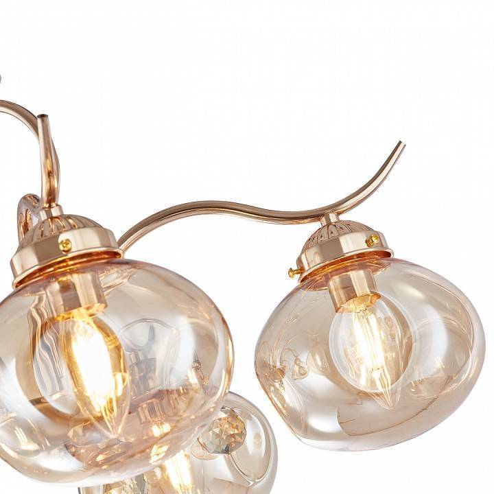 Подвесная люстра Arte Milano Amalfi-1556 5xE14 336556/5 FGD