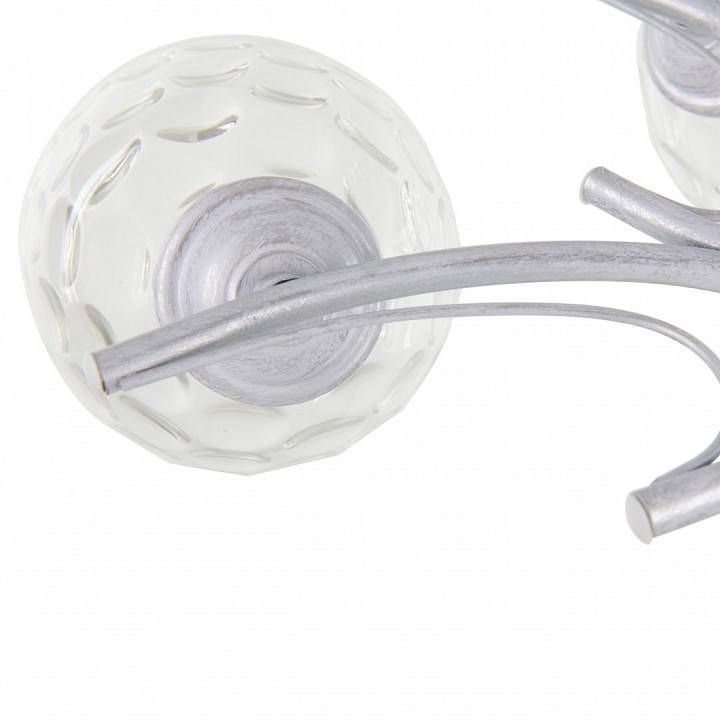 Потолочная люстра Arte Milano Napoli-6820 338756/5 WT+SL