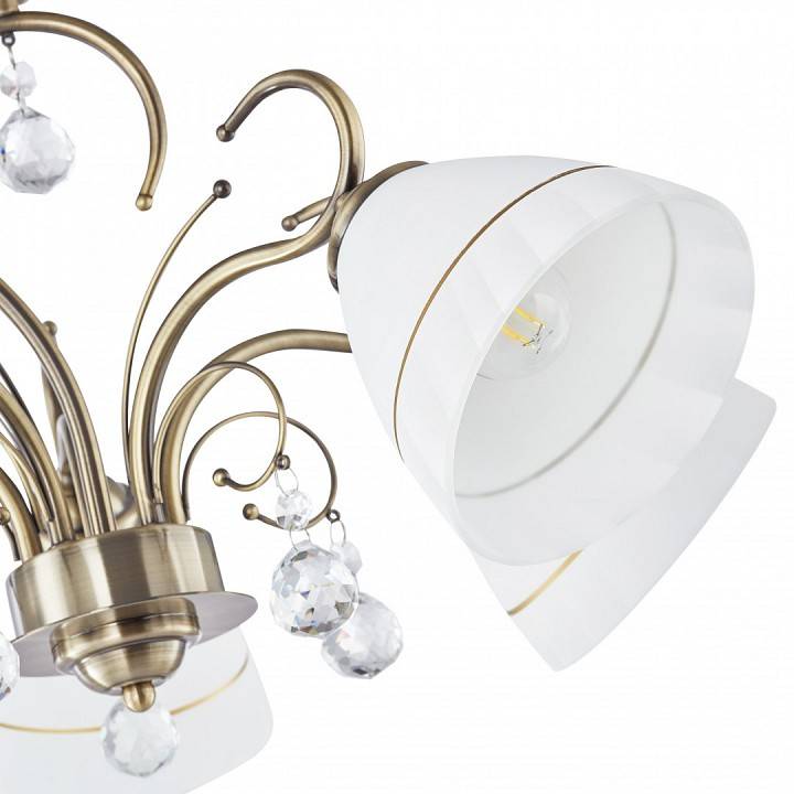 Подвесная люстра Arte Milano Amalfi-8656 5 ламп 339656/5 AB