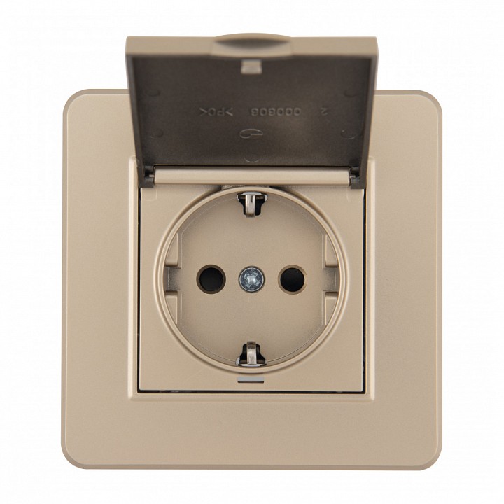 Розетка с заземлением и шторкой, с крышкой Arte Milano SET16-1 SET16-1-41-1 shampan