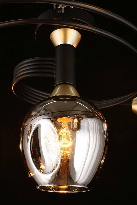 Потолочная люстра Aployt Flor APL.611.17.06