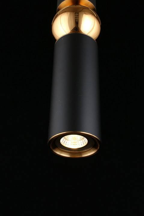 Подвесной светильник Aployt Brizhit APL.615.06.01