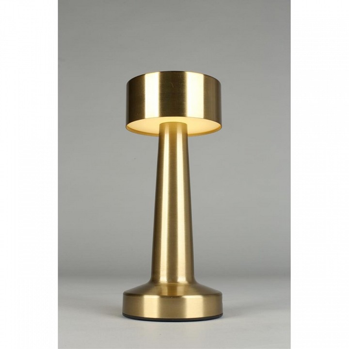 Настольная лампа декоративная Aployt Perrayn APL.671.04.01