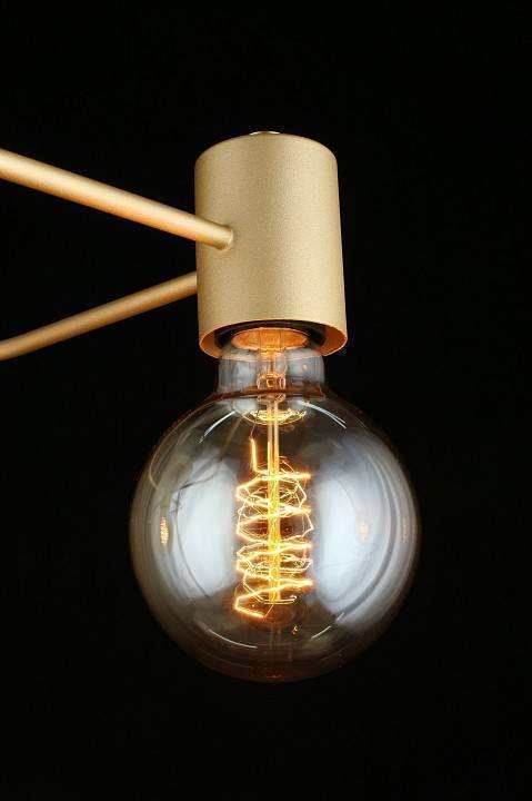 Потолочная люстра Aployt Elison APL.911.07.03