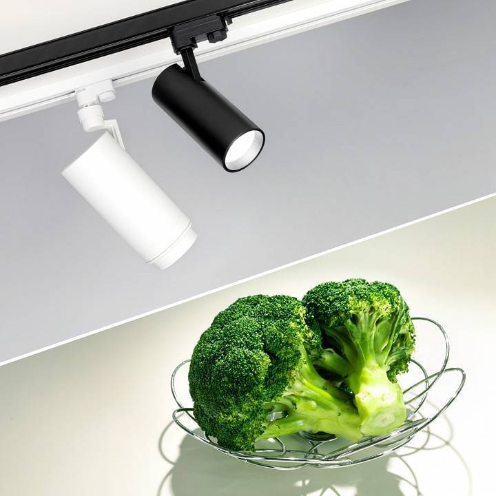 Трековый светильник Arlight ZEUS FOOD 032454