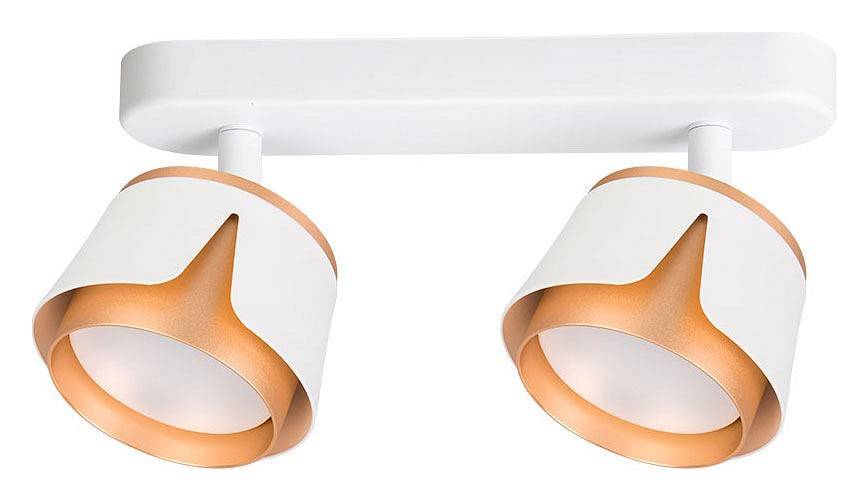 Спот Arte Lamp Amaks 2 лампы белый A8028PL-2WH