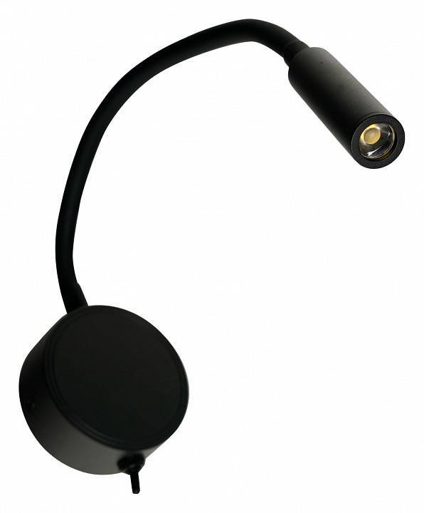 Бра Brizzi Soria BR01358