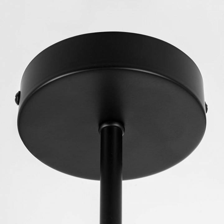 Люстра на штанге Citilux Fisher CL218163