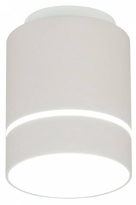 Накладной светильник Citilux Борн CL745010N