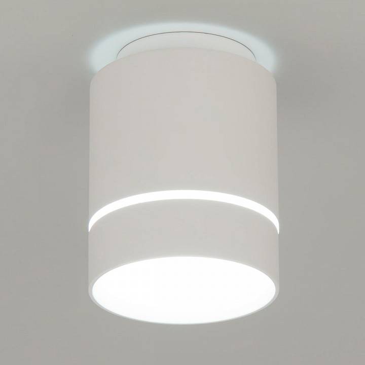 Накладной светильник Citilux Борн CL745010N