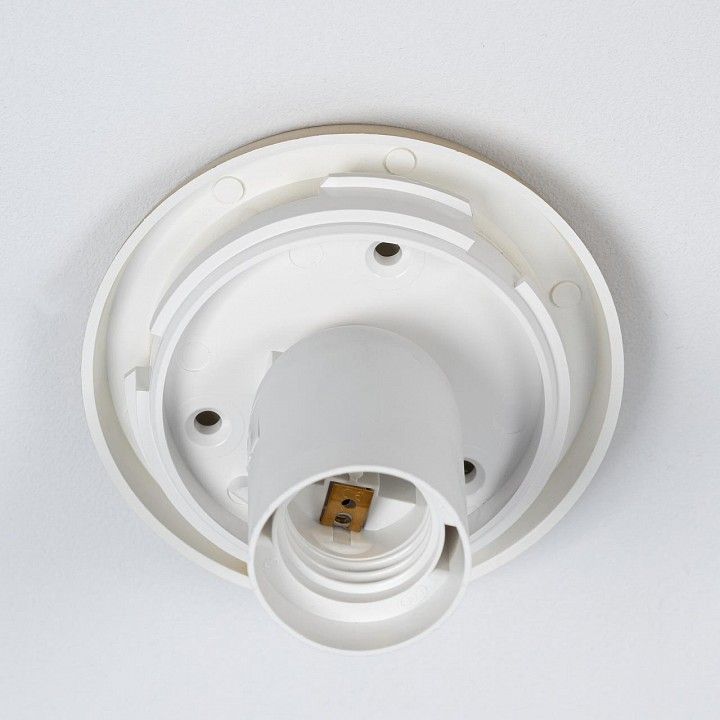 Накладной светильник Citilux RON CL941D25B2