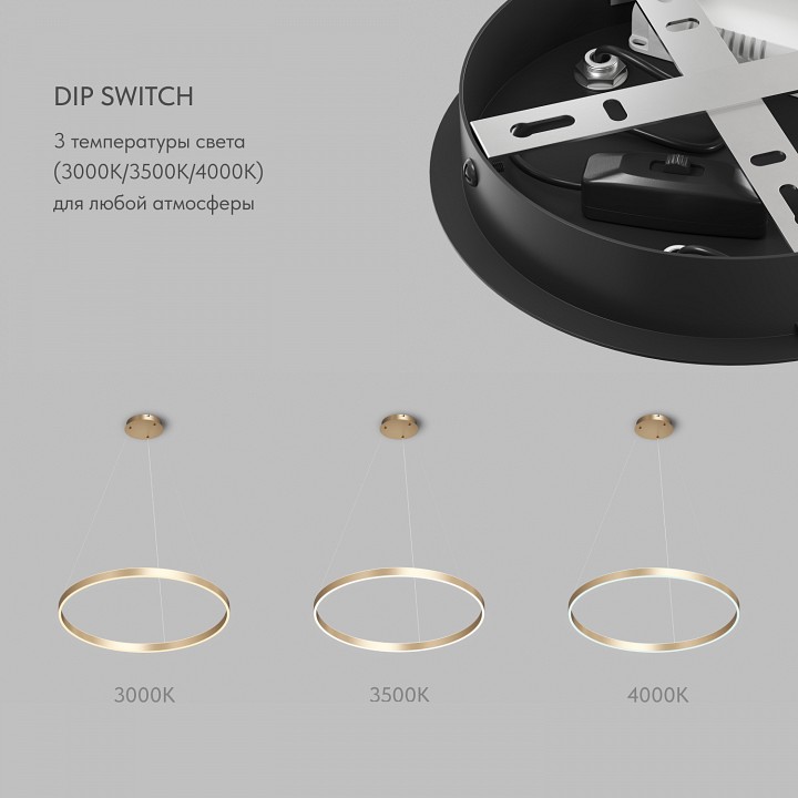 Подвесной светильник Denkirs RAYDIA DK6273-SG