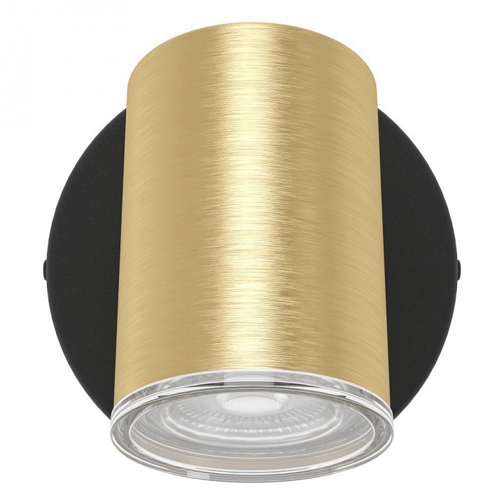 Спот Eglo CONSUMA 1 300583