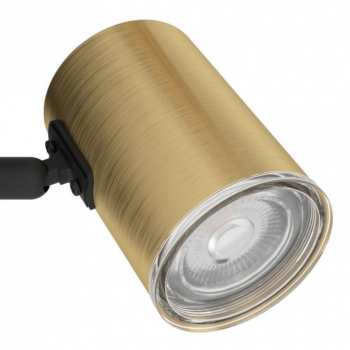 Спот Eglo CONSUMA 1 300583