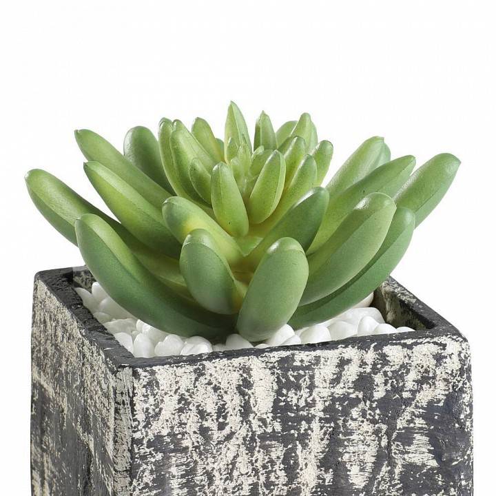 Растение в горшке Eglo Chitose 428007