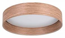 Накладной светильник Eglo Luppineria LED 900463