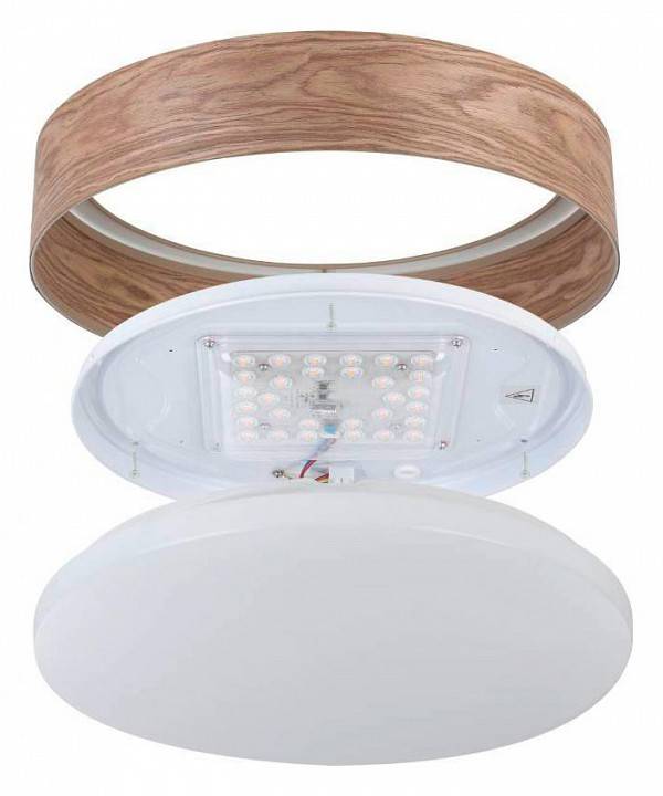 Накладной светильник Eglo Luppineria LED 900463