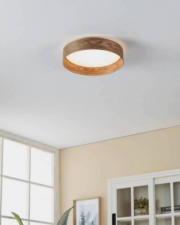 Накладной светильник Eglo Luppineria LED 900463