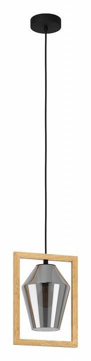 Подвесной светильник Eglo ПРОМО Viglioni 99701