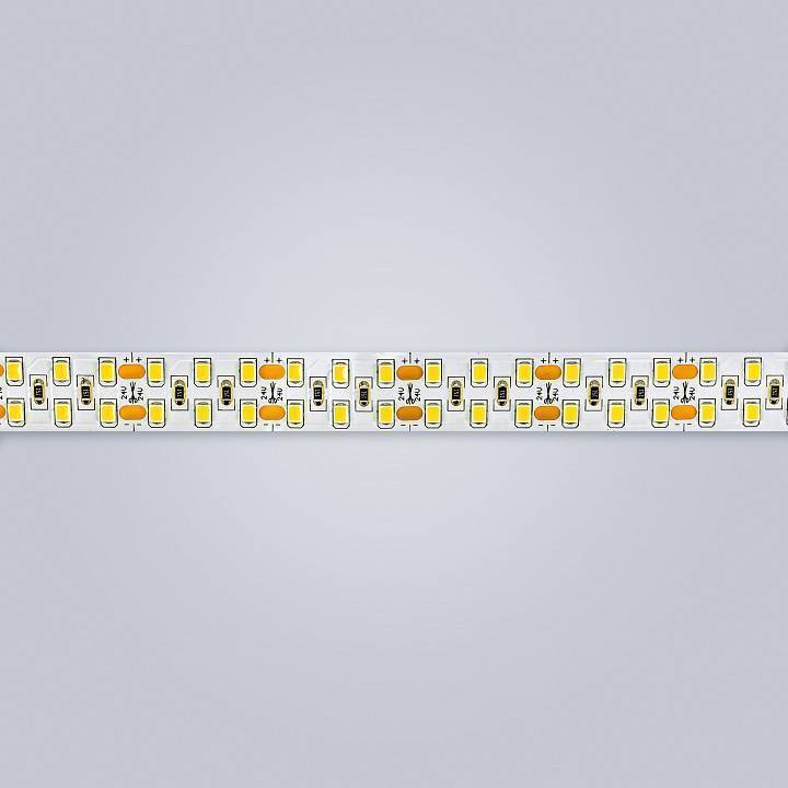 Лента светодиодная Eleganz LUX EL-24V-19W