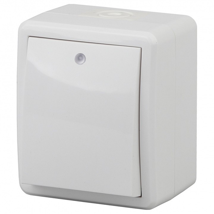 Выключатель одноклавишный с подсветкой Эра Эра Эксперт 11-1402-01