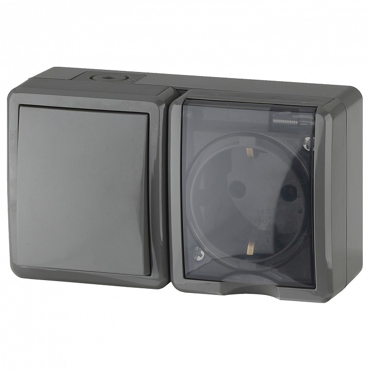 Блок с розеткой и выключателем Эра Эра Эксперт 11-7401-03