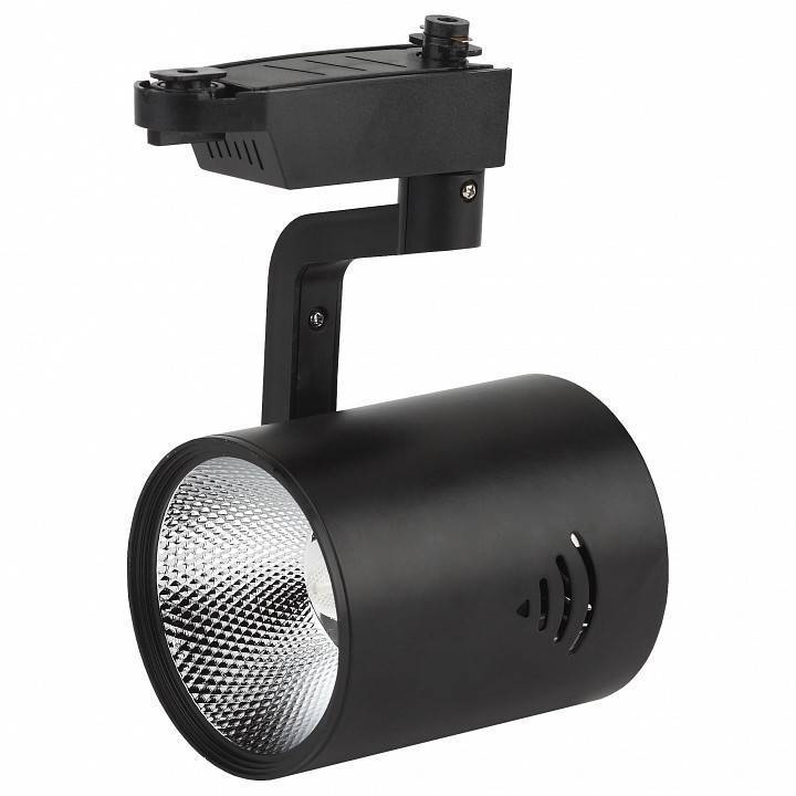 Светильник на штанге ЭРА TR1 30 Вт BK TR1-30 BK