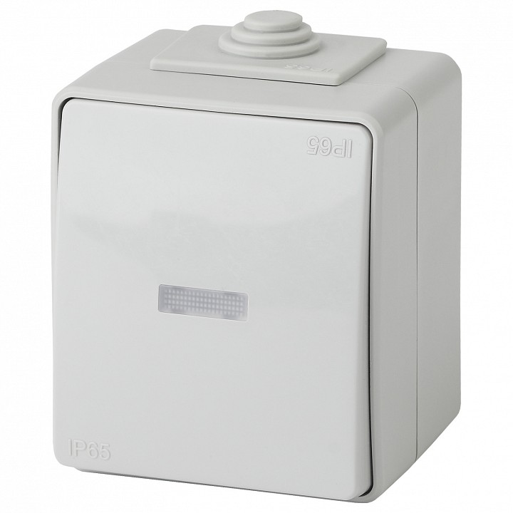 Выключатель одноклавишный с подсветкой Эра Эра Эксперт 11-1602-03