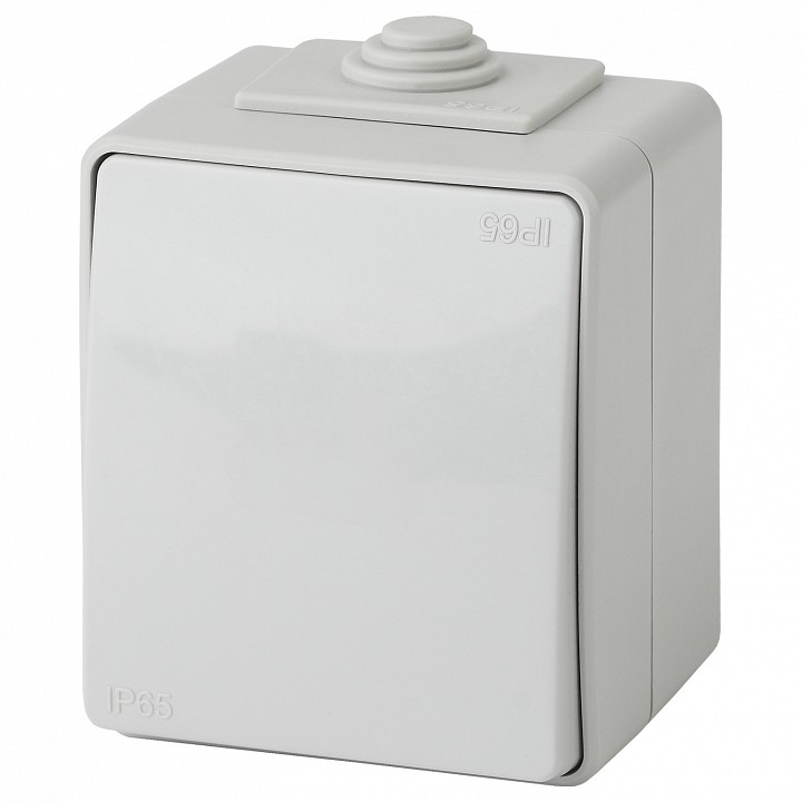 Переключатель одноклавишный Эра Эра Эксперт 11-1603-03