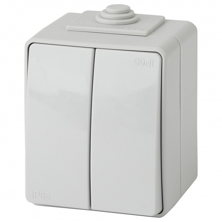 Выключатель двухклавишный Эра Эра Эксперт 11-1604-03